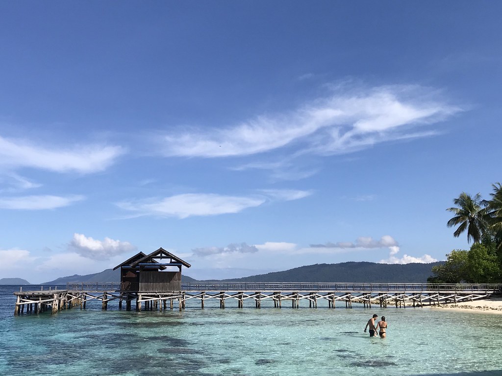 45900045171_43b34365b7_b