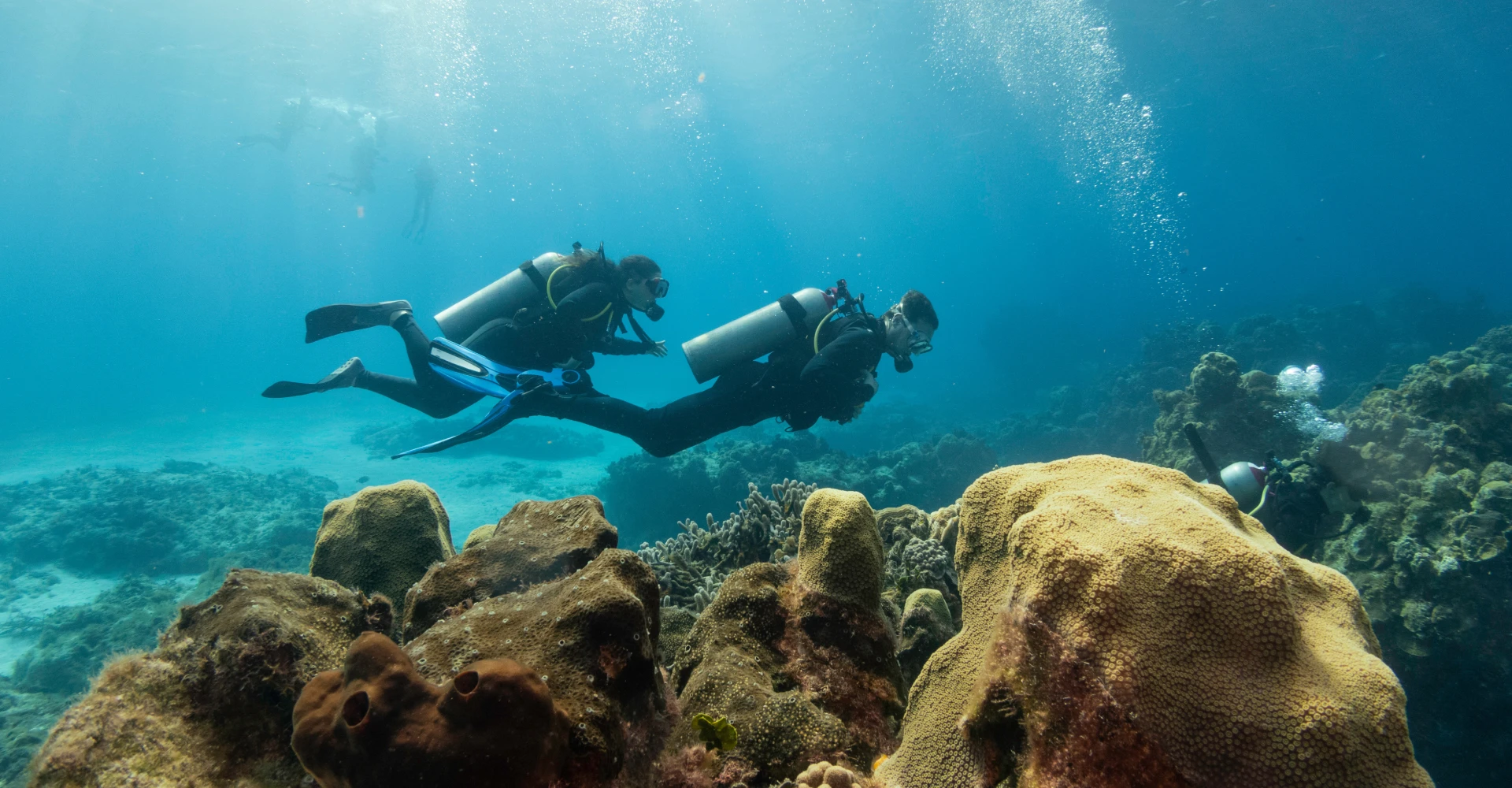 Curso Open Water & Scuba Review – Paraty img2