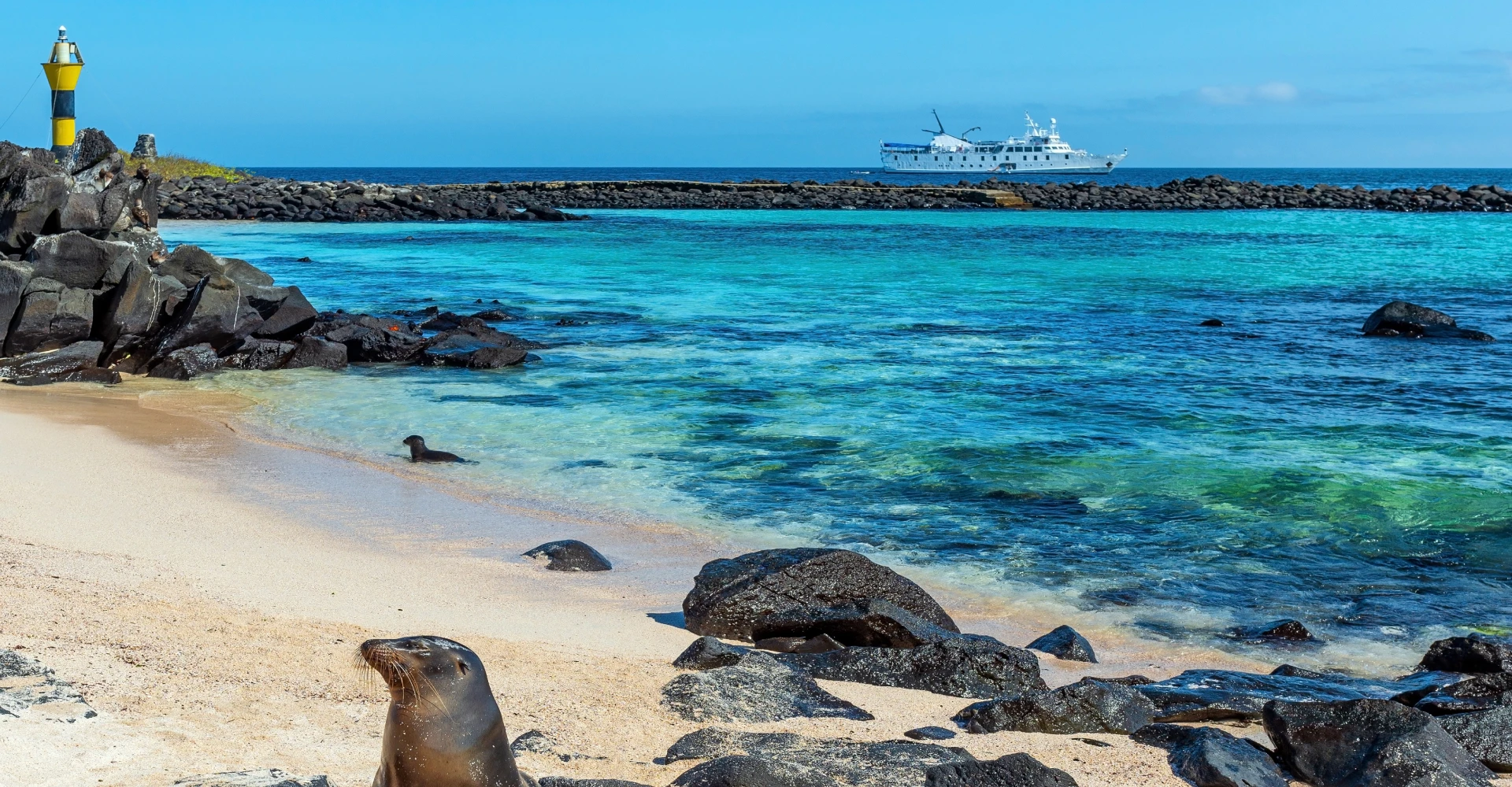 Expedição Galápagos – Equador img2