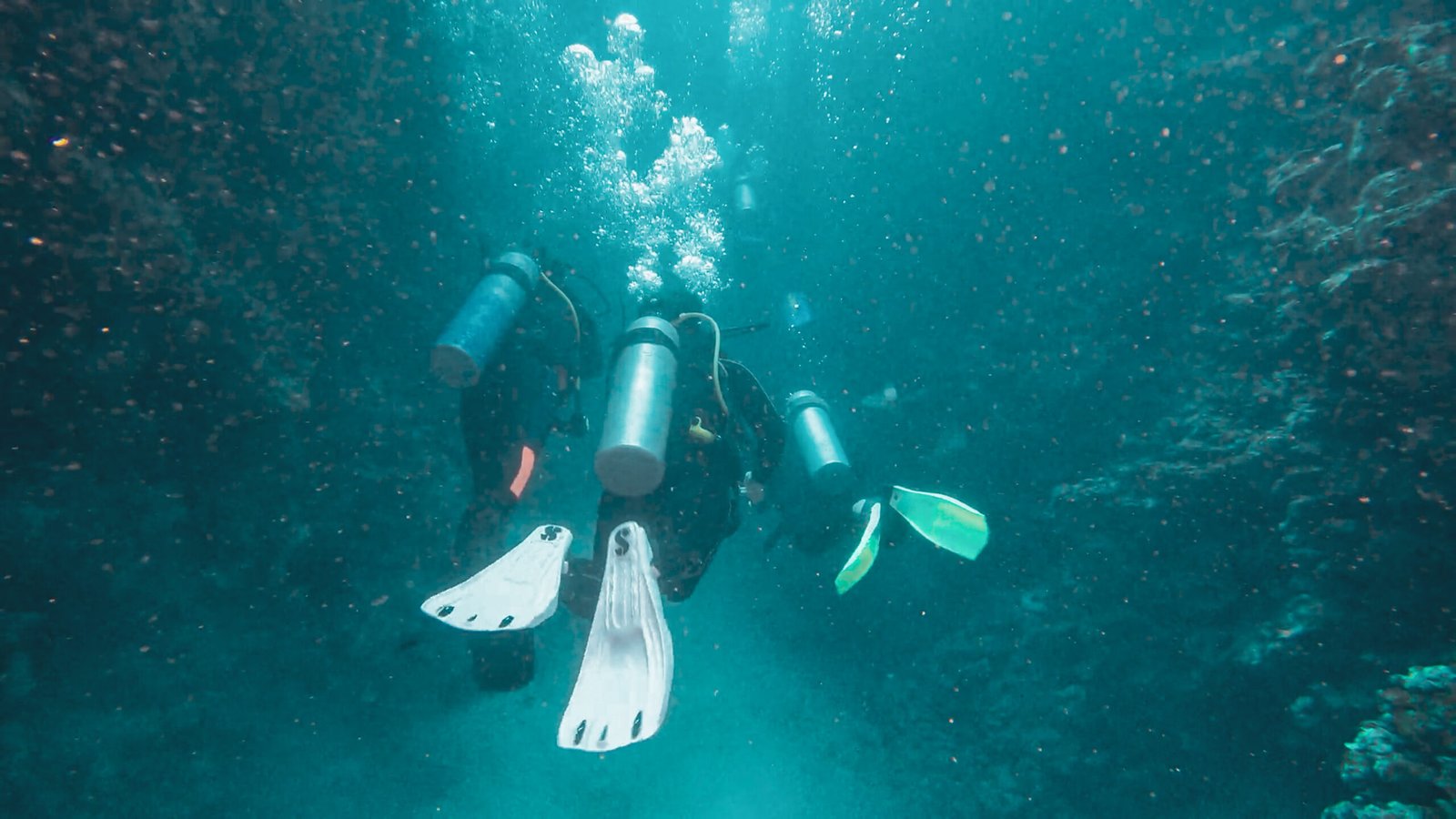 MARÉ_ABROLHOS_34